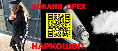 крисы Кулебаки