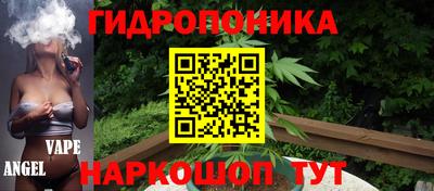 крисы Кулебаки