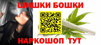 крисы Кулебаки