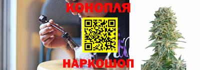 крисы Кулебаки
