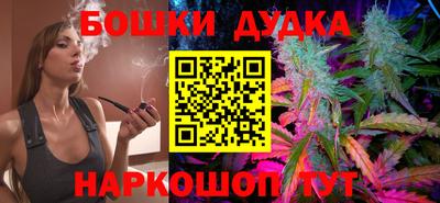 крисы Кулебаки