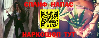 крисы Кулебаки