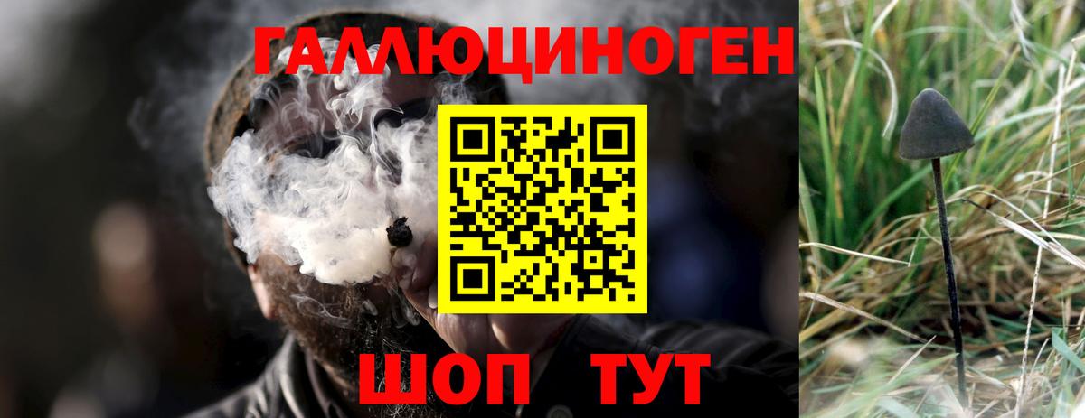 как найти наркотики  Галлюциногенные грибы Cubensis  Вход с VPN  Галлюциногенные грибы Magic Shrooms  Иваново 